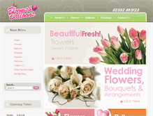 Tablet Screenshot of bloomsnballoons.com
